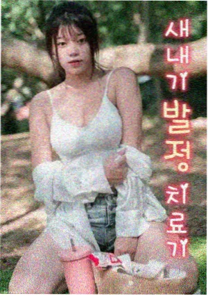 港产类型片海外研究文献资讯配图